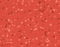 Линолеум Taralay Premium Brazilia 4136 Sao Luis фото 1 | FLOORDEALER